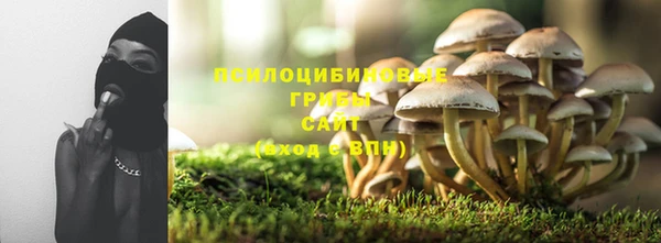 тгк Арсеньев