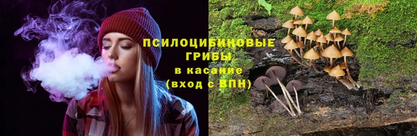 эйфоретик Баксан
